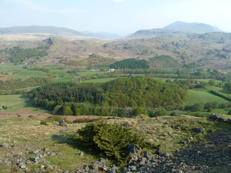 Crag Coppice